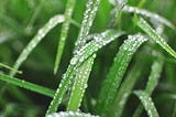 Rain drops very similar to the rain in the story.