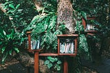 One Book That Helped In My Healing Journey