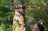 A food forest in Bacolod