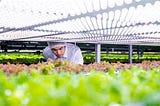 The Future of Urban Farming: The impending food shortages.