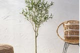 Noble House Tigue 5ft Faux Olive Tree | Image