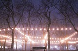 Late-Night Thoughts on a Park Bench Photo by Filip Mroz on Unsplash