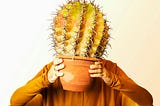 How a Book About Imperfection Taught Me to Live