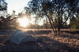 swag in the Australian bush at sunrise