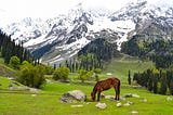 Uncovering the Wonders of Kashmir: A Comprehensive Guide to Traveling to Paradise on Earth