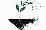 How I Changed My Life — Without Burning It All Down