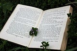 An open book with green leaves surrounding it
