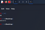 DDoS Attacks With Slowloris Tool