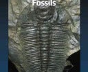 Fossils | Cover Image