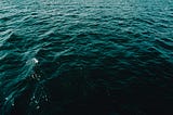 Narwhals Are Real