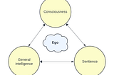 Short note on consciousness and the CSR