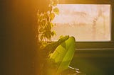 Warm sunlight shines through a window, creating prisms of colour that hover over a plant.