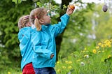 Two children picking fruit from a tree