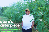 Harmony in the MOMAX3 Moringa Oil Plantation: A Symphony of Nature’s Splendor