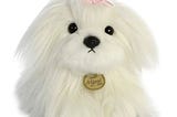 aurora-miyoni-11-maltese-puppy-white-1