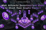 What Attracts Investors and Where to Start Your Crypto Project