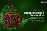 Boosting Ethiopian Coffee Production with Dimitra’s Technology