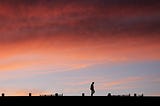 The Long Walk from Data Science to Business Value