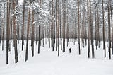 Walking through a nearly leafless bank of trees