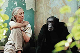 Jane Goodall’s Book of Hope: A Testimony to Optimism in the Face of Environmental Degradation