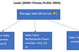 Salesforce Security Part 2:Roles, Sharing rules, manual rules