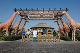 Dubai Safari Park: A World-Class Wildlife Experience