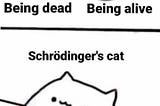 Open the Schrödinger’s Cat Box