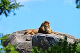 Reign of a beast