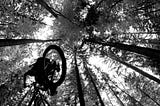 Mountain Bike Categorization Analysis