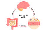 Triple P-Biotics: The Importance of Probiotics, Prebiotics, and Postbiotics