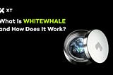 What Is WHITEWHALE? A Meme Coin Built for Crypto’s Deep Waters