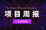 【51】ExChain Project Progress Weekly!