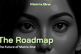 Roadmap to the Future of Matrix One