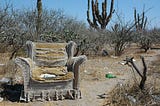 A decaying chair surrounded by cacti, twigs. The environment is desert-like.