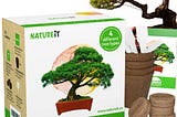 bonsai-seed-starter-kit-diy-grow-your-own-bonsai-from-seed-to-tree-1