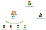 Software development life cycle: roles