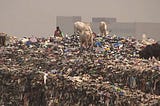 A large landfill portraying adults and animals rummaging through piles of clothing and garbage for usable goods.