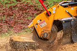The Ultimate Guide to Vancouver Stump Grinding: Why You Need It and How It Works
