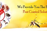 Mosquito Fogging Service in Lucknow