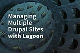 Managing and Staging Multiple Drupal Sites with Lagoon