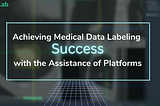 Achieving Medical Data Labeling Success with the Assistance of Platforms
