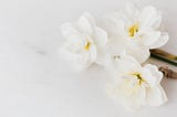 Narcissus and his victim