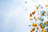 The Power Of Changing Your Thoughts.