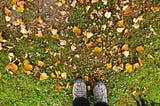 standing amongth yellow and brown leaves