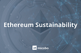 On Ethereum Sustainability