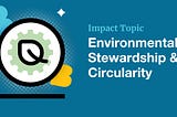 B Corp Impact Topic: Environmental Stewardship and Circularity