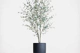 crate-and-barrel-potted-faux-olive-tree-1