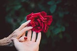An older person’s hand and that of a younger person hold a rose.