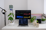 Building a monitoring system for my avocado plant with Arduino and Grafana Cloud