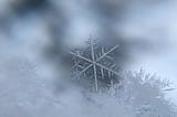 Frost on the window pane.